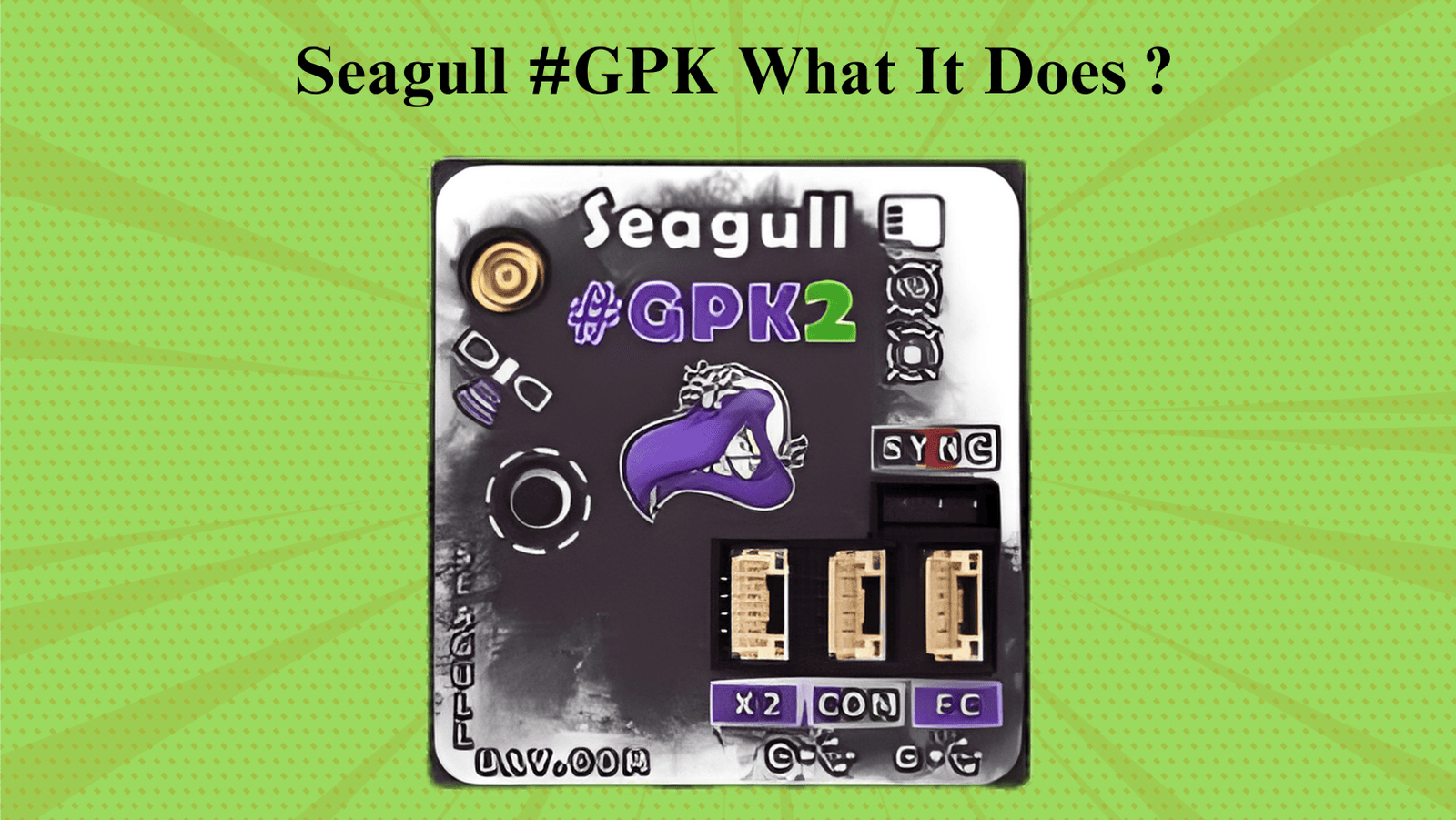 Seagull #GPK  What It Does ?