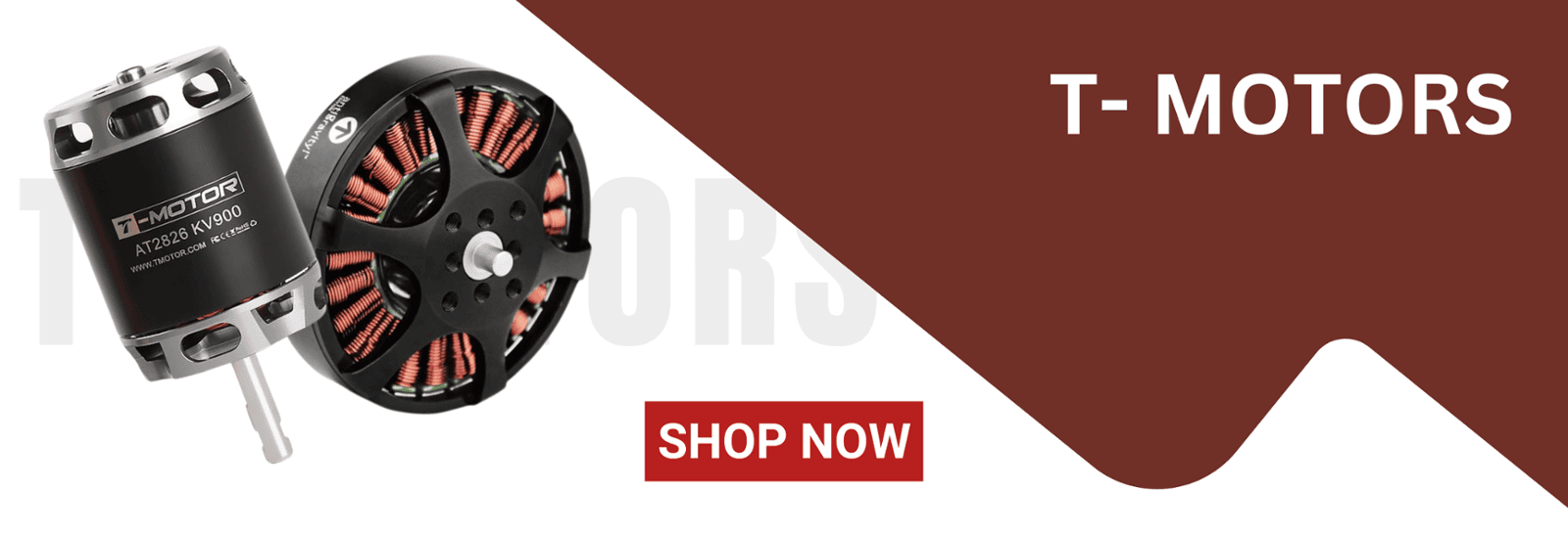 T motors