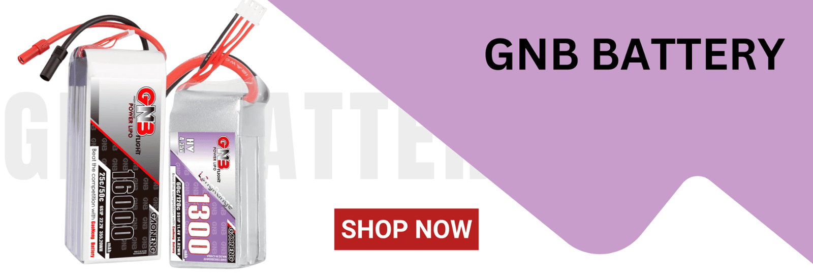 GNB Batteries