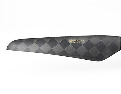 T-Motors Propeller NS22x6.6