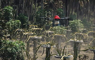 MADE IN INDIA DGCA Type Certified FIA QD10 Agriculture Drone 10L(COMBO PACK) MADE IN INDIA DGCA Type Certified FIA QD10 Agriculture Drone 10L(COMBO PACK)