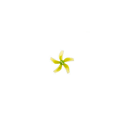 GEMFAN Ducted D51 2020 PC 4L4R Propeller GEMFAN Ducted D51 2020 PC 4L4R Propeller